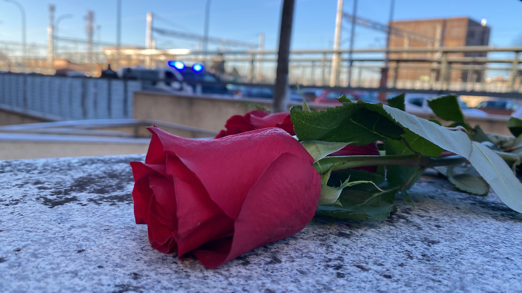 Rosas rojas, las fotos de los seis mineros fallecidos en aquel accidente ocurrido casi una década atrás, doro entremezclado con rabia, lágrimas y un sentimiento de angustia del que hoy es imposible separarse. Las familias de los 'seis de Tabliza' (José Antonio Blanco, Manuel Antonio Moure, Orlando González, Juan Carlos Pérez, José Luis Arias y Roberto Álvarez) han visto hoy como su particular calvario ha llegado a juicio.