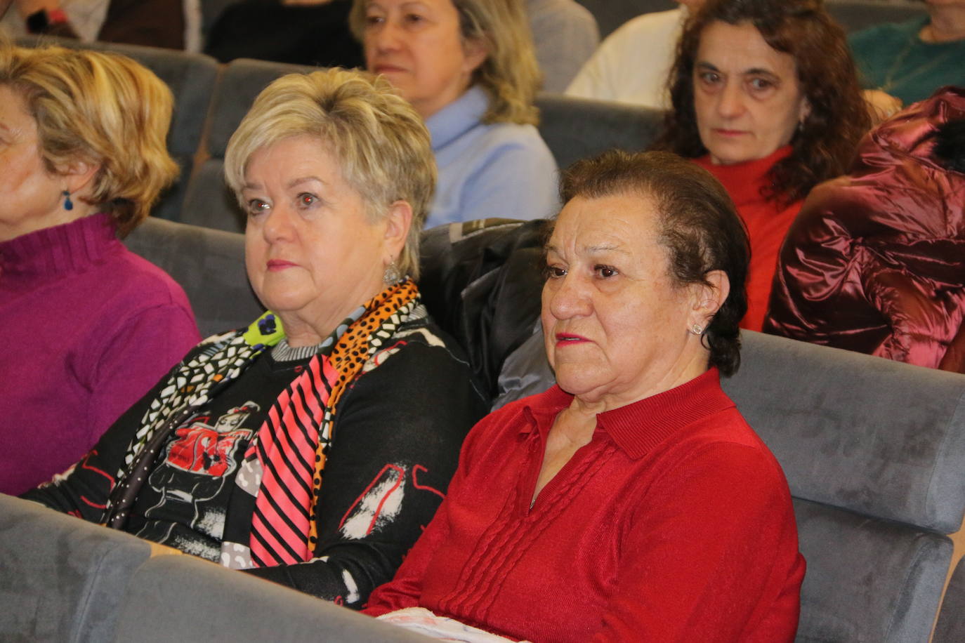 Presentación del libro en el salón de actos del Ayuntamiento de Ordoño II. 