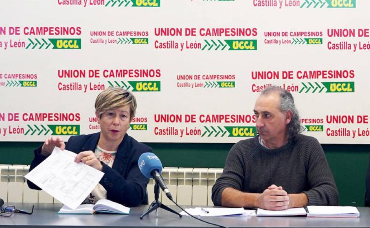 Representantes de la organización sindical agraria.