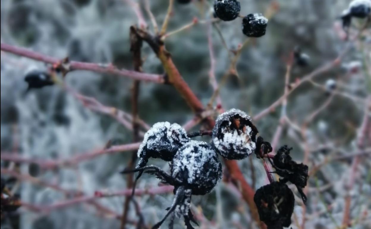 Además de en puntos de la Cordillera Cantábrica, en la provincia de León también podría alcanzarse los menos seis grados en puntos de la meseta.