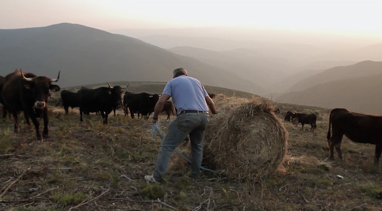 El documental narra la historia de lo sucedido en esta aldea tan cercana al Bierzo 