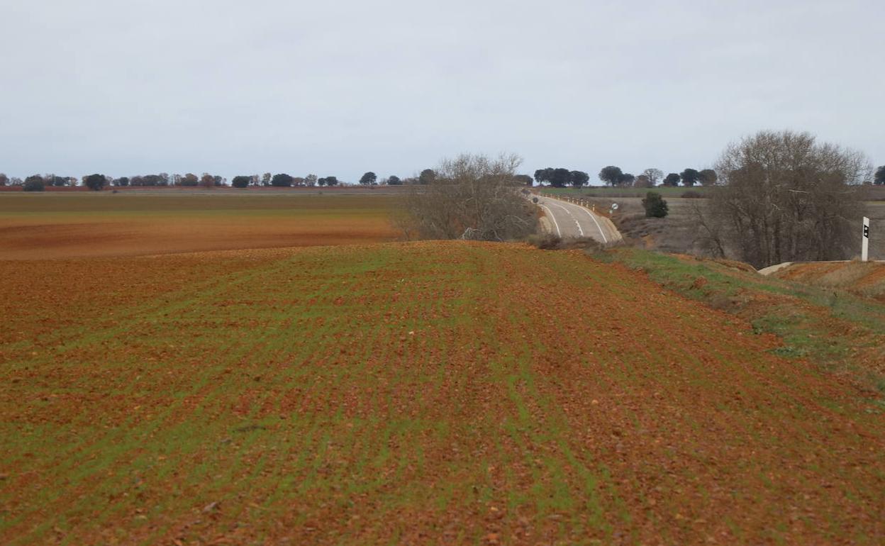 Imagen de archivo de unas tierras de cultivo en el sur de la provincia. 