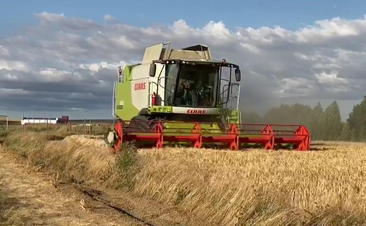 Imagen de una cosechadora en un campo de León. 