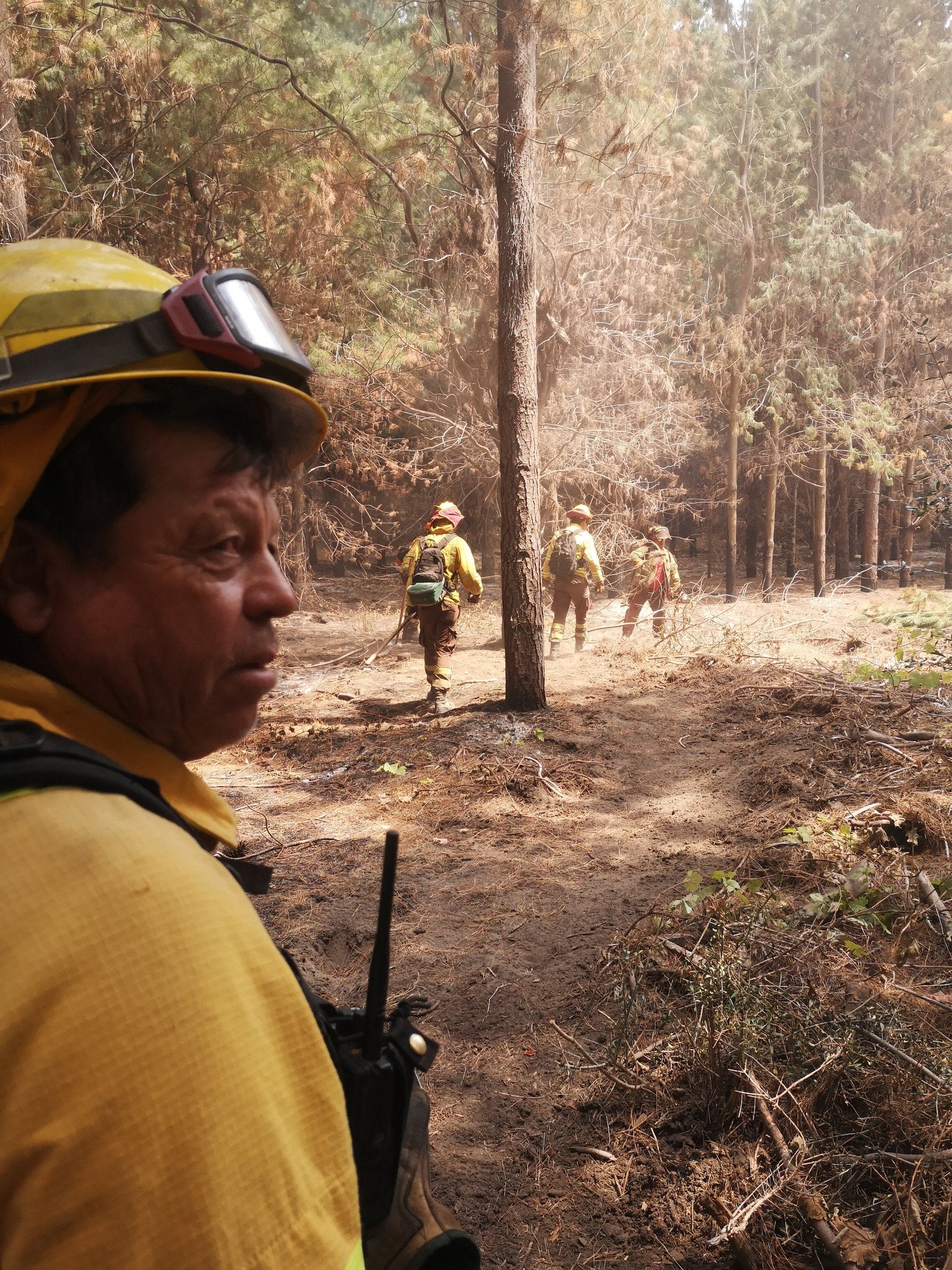 La Brigada de Refuerzo en Incendios Forestales con base en Tabuyo del Monte realiza su primera misión de apoyo internacional en Chile. Colaboración, empeño y sacrificio, sus banderas en esta intervención. 