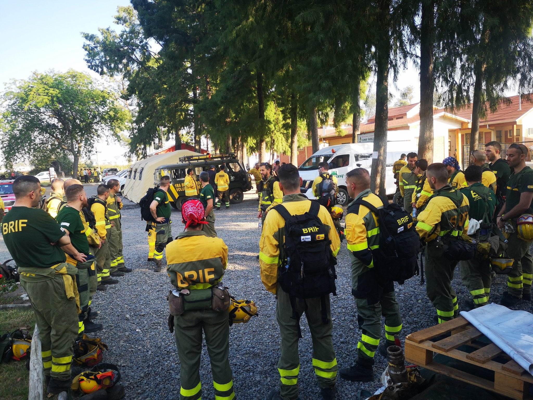 La Brigada de Refuerzo en Incendios Forestales con base en Tabuyo del Monte realiza su primera misión de apoyo internacional en Chile. Colaboración, empeño y sacrificio, sus banderas en esta intervención. 