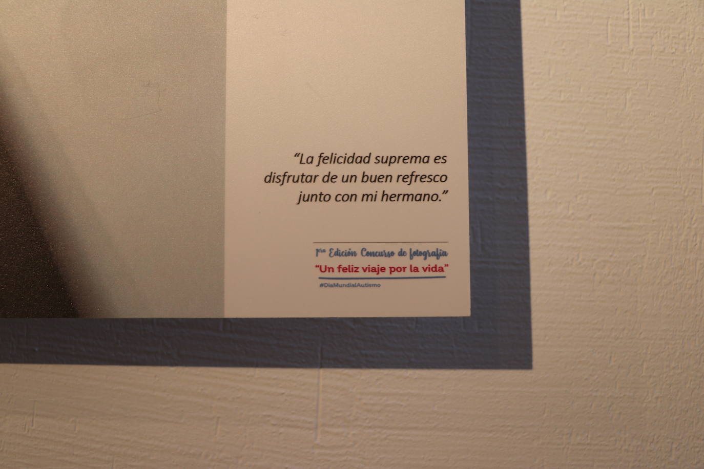 Inauguración de la Exposición del I Concurso de Fotografía «Un feliz viaje por la vida» organizada por la Federación Autismo de Castilla y León.