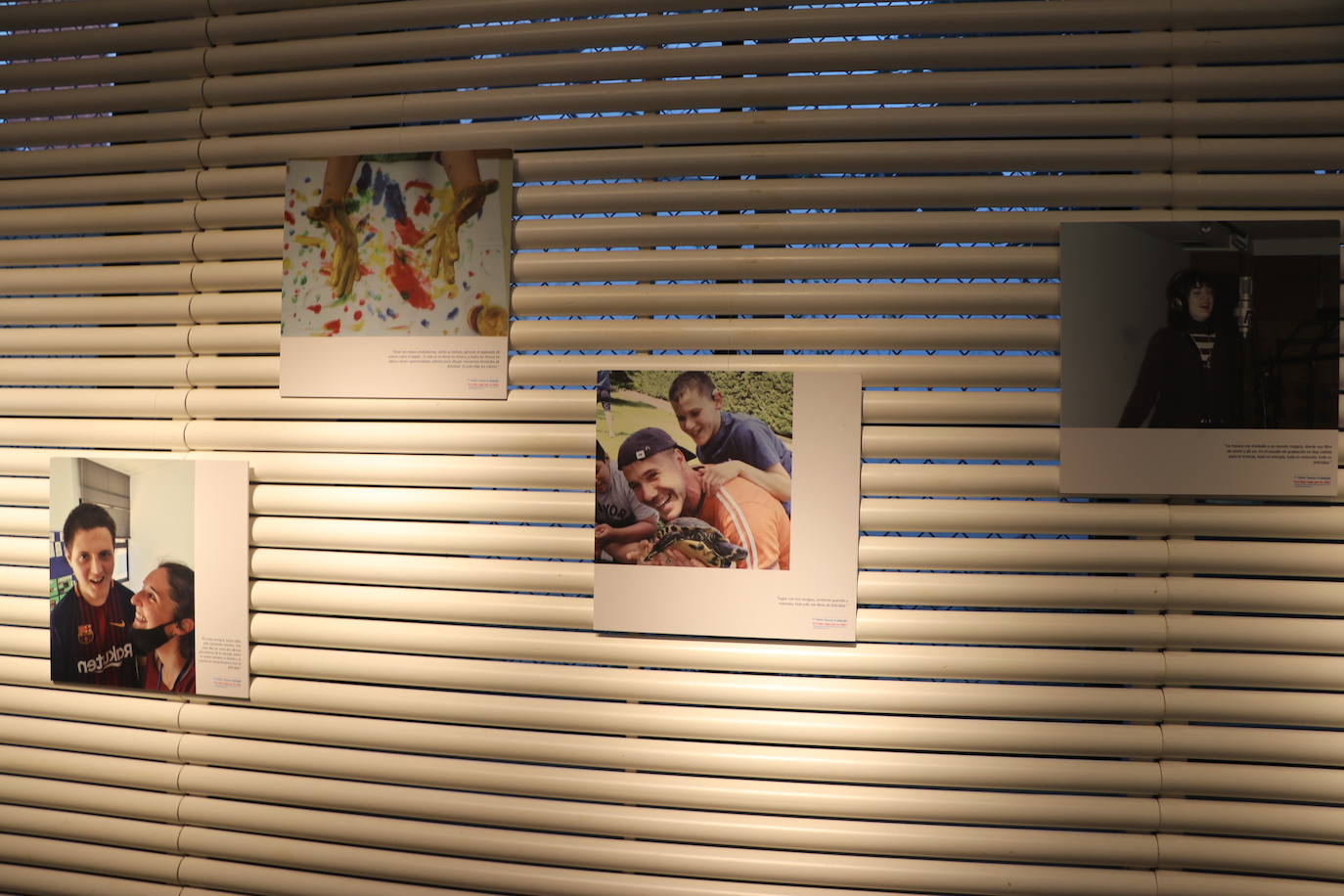 Inauguración de la Exposición del I Concurso de Fotografía «Un feliz viaje por la vida» organizada por la Federación Autismo de Castilla y León.