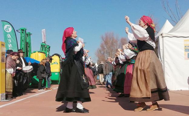 Galería. Bailes tradicionales en la apertura de la tradicional Feria de Valencia de Don Juan. 