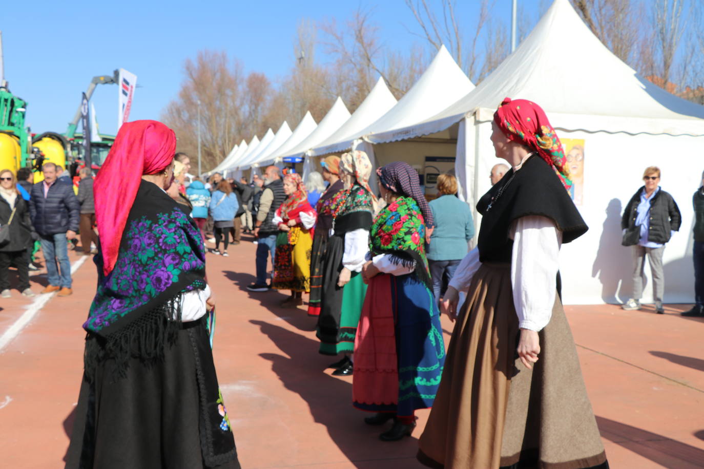 Más de un siglo de vida suma a sus espaldas la tradicional Feria de Febrero de esta localidad del sur de León que ha abierto sus puertas en su 102 edición. El alcalde de Valencia de Don Juan, Juan Pablo Regadera, recuerda que es la fería «de la gente» y el vicepresidente de la Diputación, Matías Llorente, pide apoyo al campo y servicios para el mundo rural. 