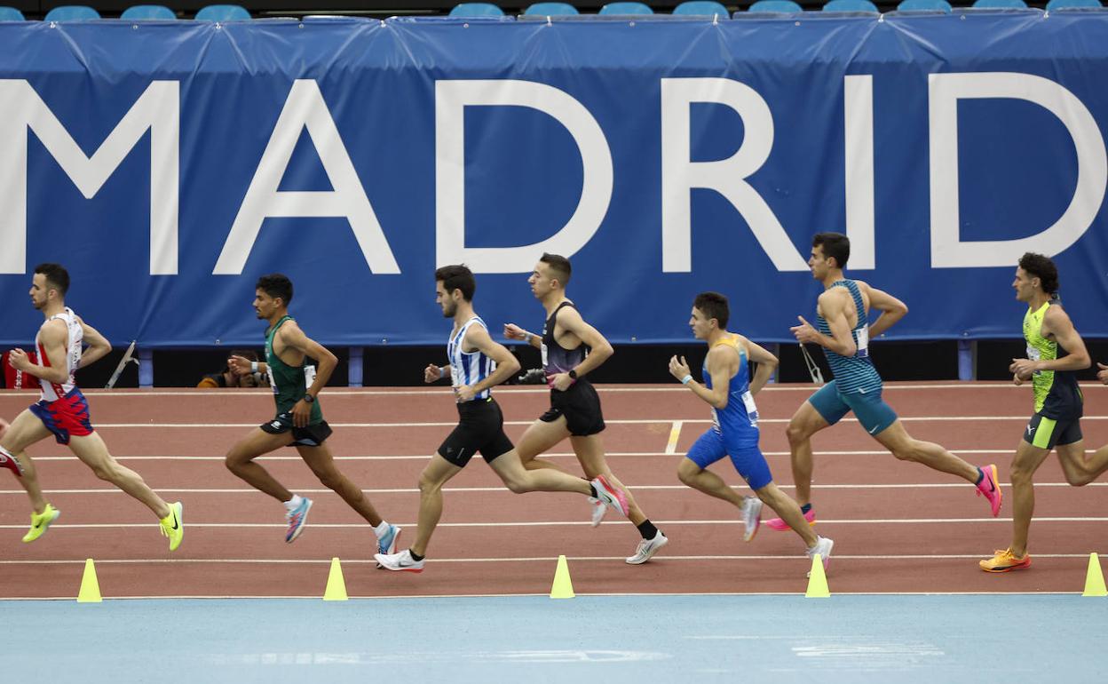 Semifinal de los 1.500 metros durante el Campeonato de España de Atletismo en Pista Cubierta.