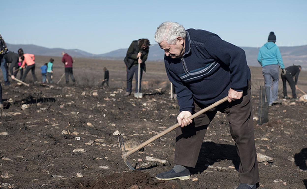 Vecinos de Astorga han repoblado de encinas y castaños el monte dañado por el incendio.