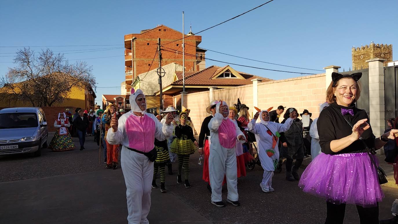 La localidad leonesa se ha puesto sus mejores disfraces para honrar a Don Carnal en su tradicional desfile.