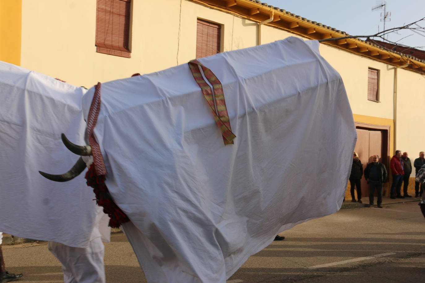 Toros y toreros varean a todos los que se acercan al antruejo de Alcoba