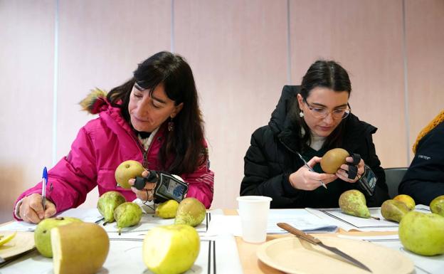 Galería. Cata de productos bercianos para descifrar sus potencialidades.