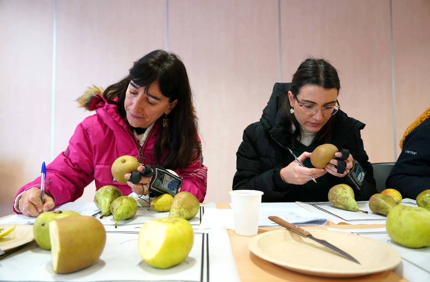 Cata del proyecto de investigación 'Bierzo Sensomarkt' del Itacyl con la colaboración de Alimentos de Calidad de El Bierzo y la empresa palentina Sociograph, que aplica la innovación tecnológica a la pera Conferencia y la manzana Reineta.
