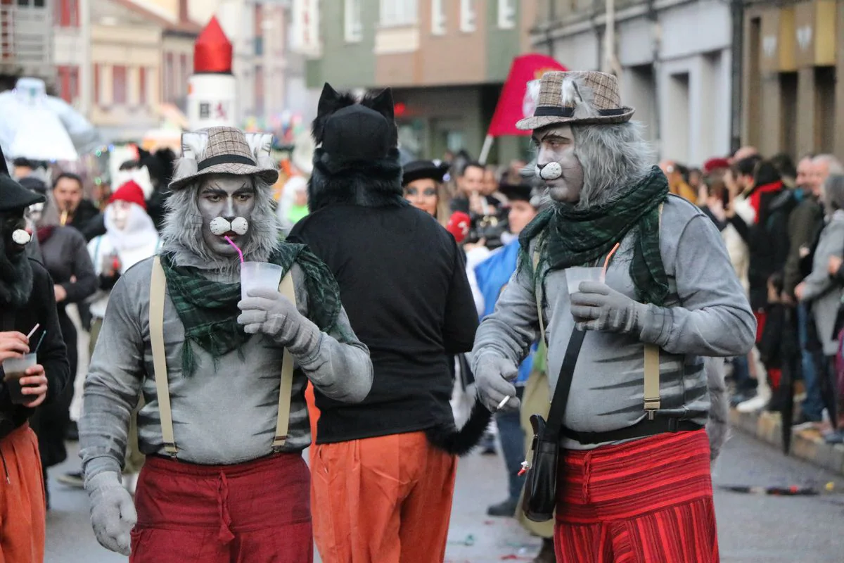 La Bañeza despide el Carnaval con su tradicional desfile que ha congregado a cientos de personas en torno a los disfraces más originales de la provincia.