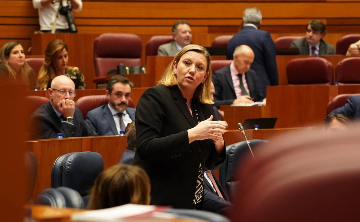 La consejera de familia, Isabel Blanco, durante el Pleno de las Cortes.