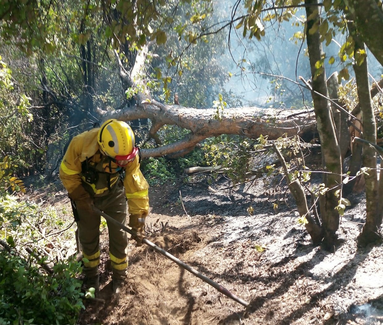 Seis bomberos forestales de la BRIF de Tabuyo partieron hace 12 días para combatir el incendio en Chile. Allí han luchado contra los diferentes focos de un incendio histórico. De regreso a España remarcan la importancia de una experiencia «inolvidable». 