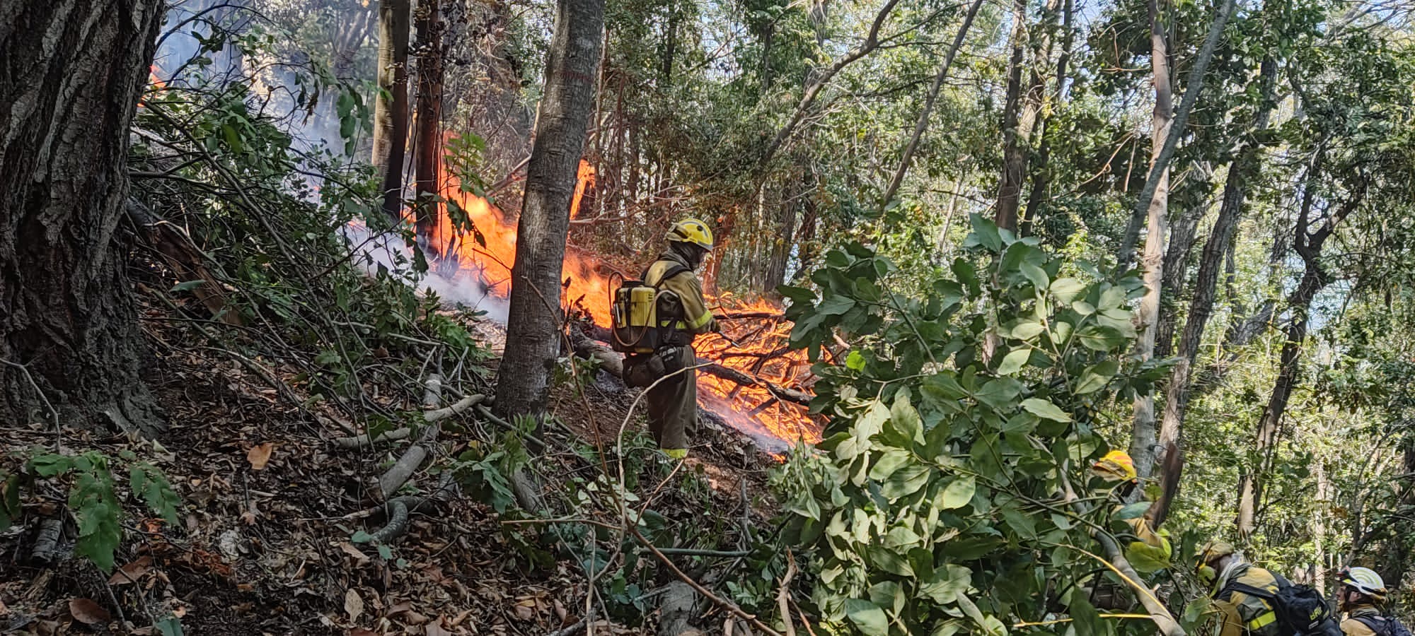 Seis bomberos forestales de la BRIF de Tabuyo partieron hace 12 días para combatir el incendio en Chile. Allí han luchado contra los diferentes focos de un incendio histórico. De regreso a España remarcan la importancia de una experiencia «inolvidable». 