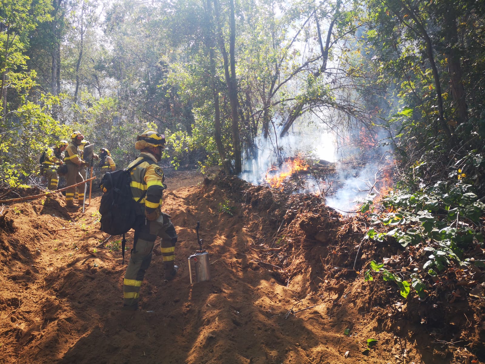 Seis bomberos forestales de la BRIF de Tabuyo partieron hace 12 días para combatir el incendio en Chile. Allí han luchado contra los diferentes focos de un incendio histórico. De regreso a España remarcan la importancia de una experiencia «inolvidable». 