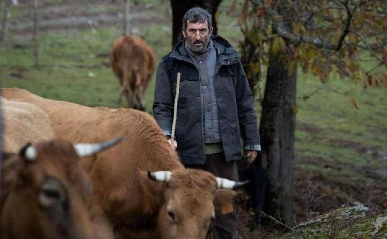 Luis Zahera ganó un Goya por su papel en 'As bestas'.