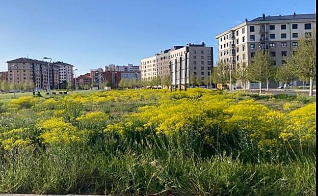 El barrio de La Lastra.