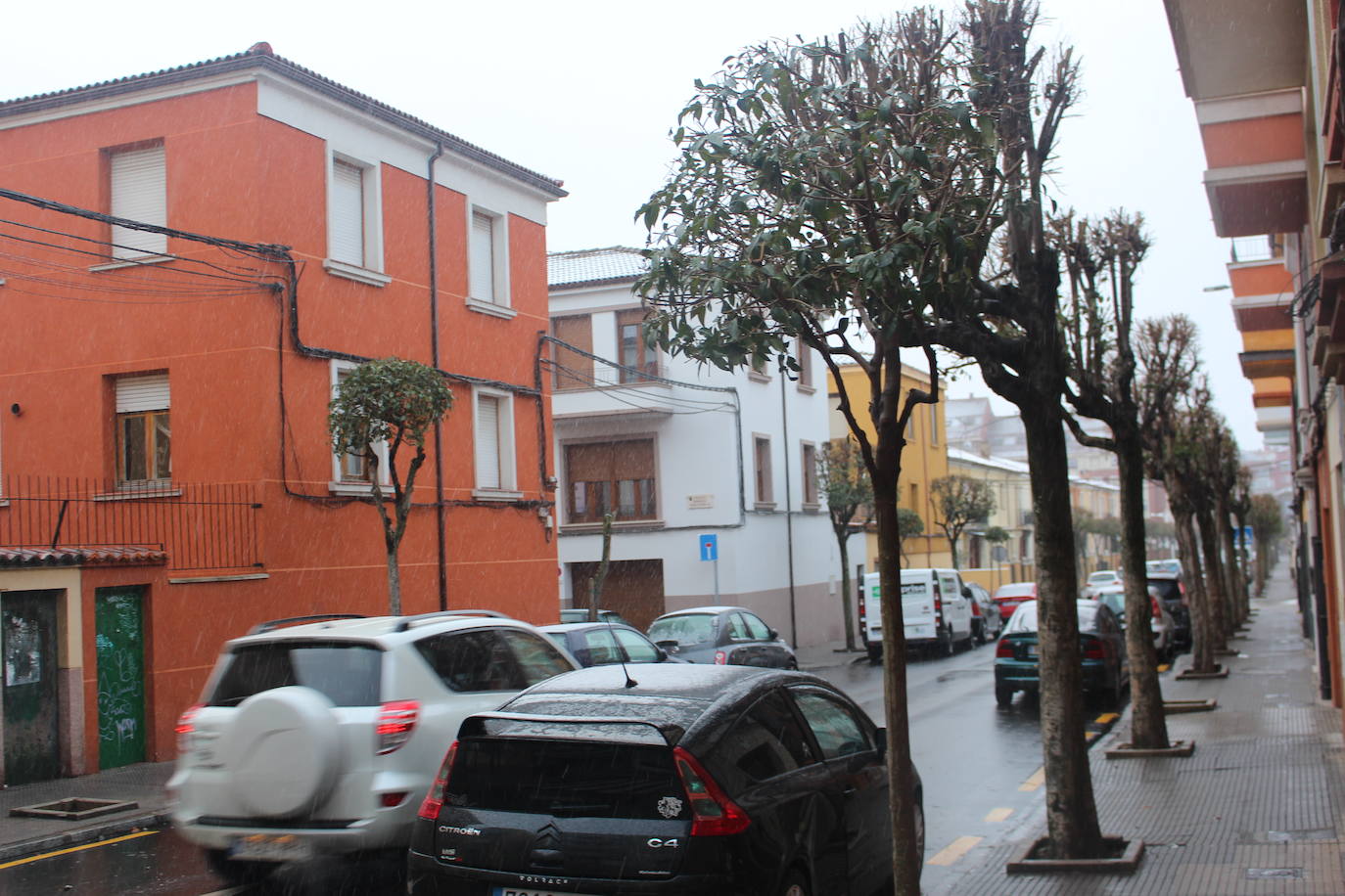 La nieve hace acto de presencia en León capital para despedir febrero. 