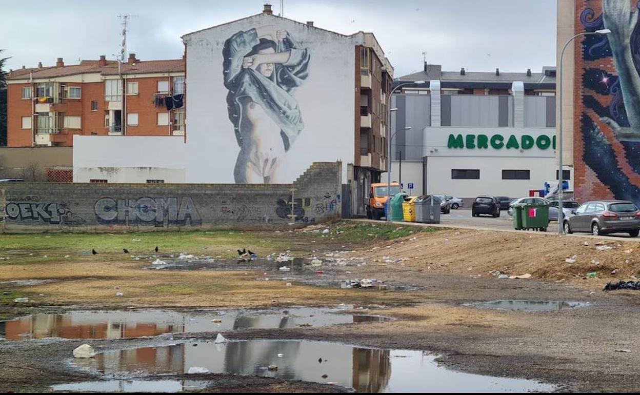 Desde Ciudadanos se ha instado al equipo de gobierno a dar una explicación a los vecinos de por qué que la 'resaca' de basura de los Carnavales aún colean en uno de los accesos a la ciudad