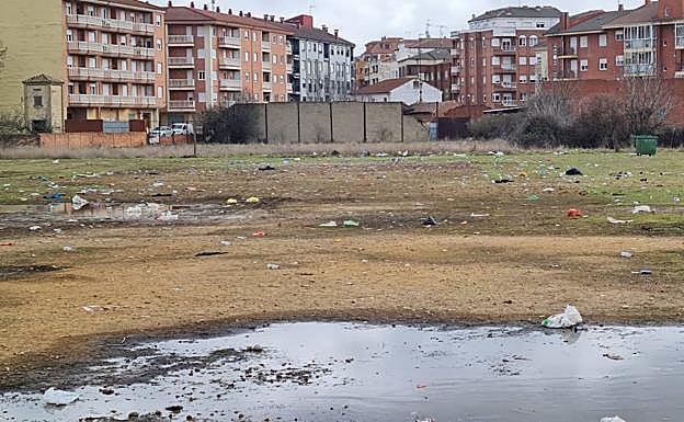 Desde Ciudadanos se ha instado al equipo de gobierno a dar una explicación a los vecinos de por qué que la 'resaca' de basura de los Carnavales aún colean en uno de los accesos a la ciudad