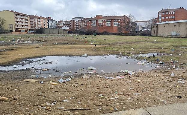 Desde Ciudadanos se ha instado al equipo de gobierno a dar una explicación a los vecinos de por qué que la 'resaca' de basura de los Carnavales aún colean en uno de los accesos a la ciudad