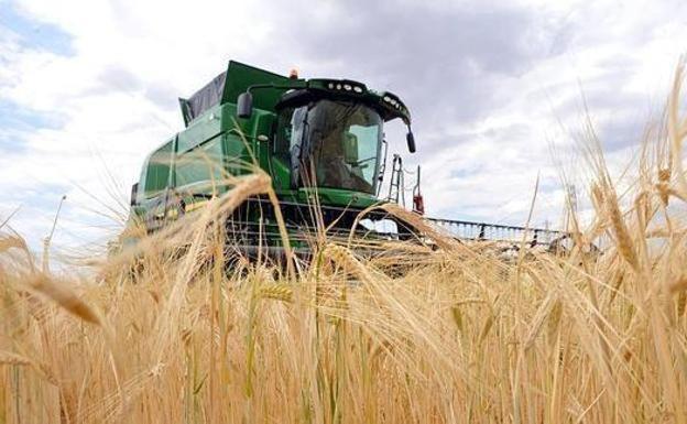 Las medidas agroambientales consisten en suscribir, de manera voluntaria, compromisos relacionados con prácticas agrarias medioambientalmente sostenibles