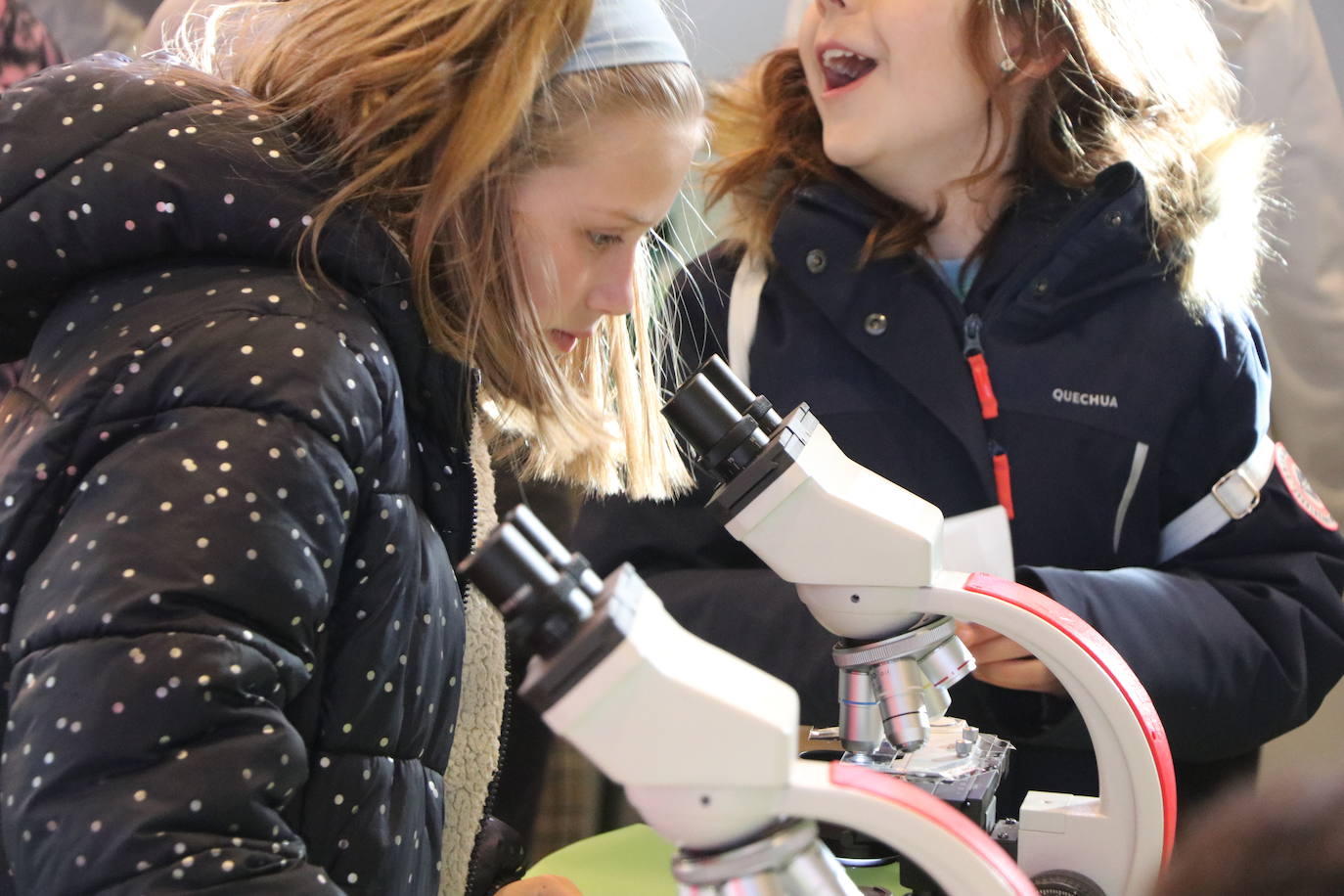 El Palacio de Exposiciones y Congresos de León acoge la cuarta edición de Expociencia que durante tres jornadas conectará la investigación que se realiza en aulas y laboratorios de la Universidad de León con su provincia | Se espera superar las 16.000 visitas en una edición en la que participan 400 investigadores de la Ule y que cuenta con representación de todas las áreas de conocimiento.