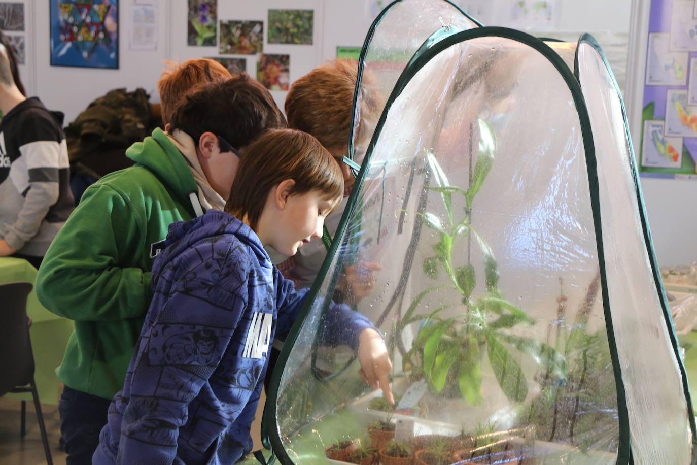 El Palacio de Exposiciones y Congresos de León acoge la cuarta edición de Expociencia que durante tres jornadas conectará la investigación que se realiza en aulas y laboratorios de la Universidad de León con su provincia | Se espera superar las 16.000 visitas en una edición en la que participan 400 investigadores de la Ule y que cuenta con representación de todas las áreas de conocimiento.