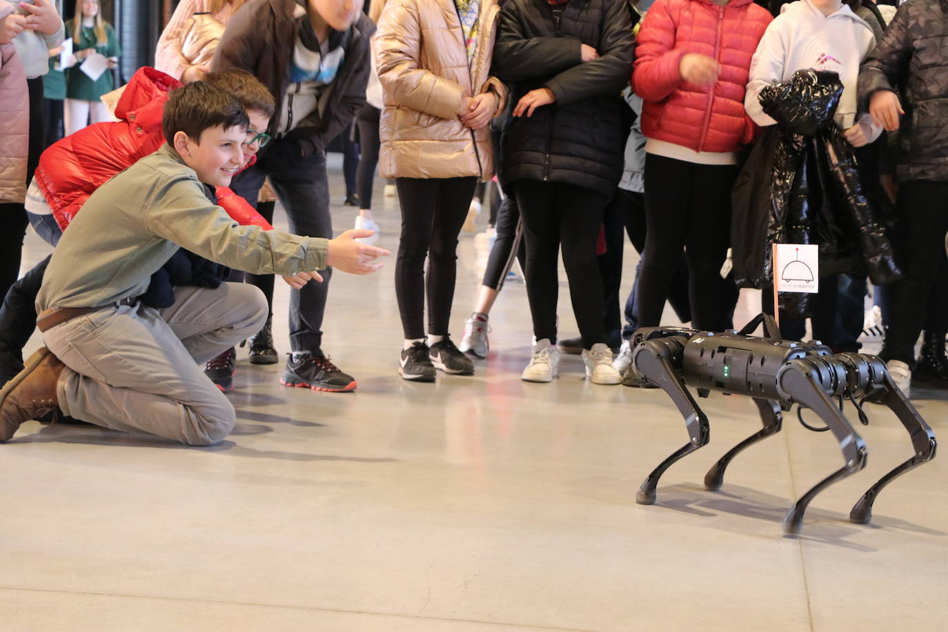 El Palacio de Exposiciones y Congresos de León acoge la cuarta edición de Expociencia que durante tres jornadas conectará la investigación que se realiza en aulas y laboratorios de la Universidad de León con su provincia | Se espera superar las 16.000 visitas en una edición en la que participan 400 investigadores de la Ule y que cuenta con representación de todas las áreas de conocimiento.