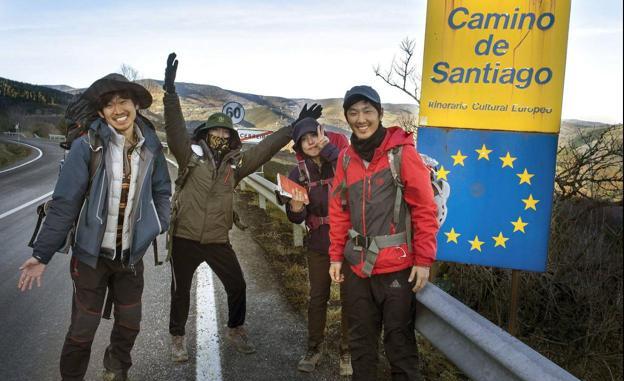 Un grupo de peregrinos internacionales recorren el Camino de Santiago. 