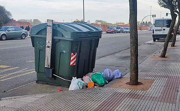 Imágenes de suciedad en las calles de Léon.