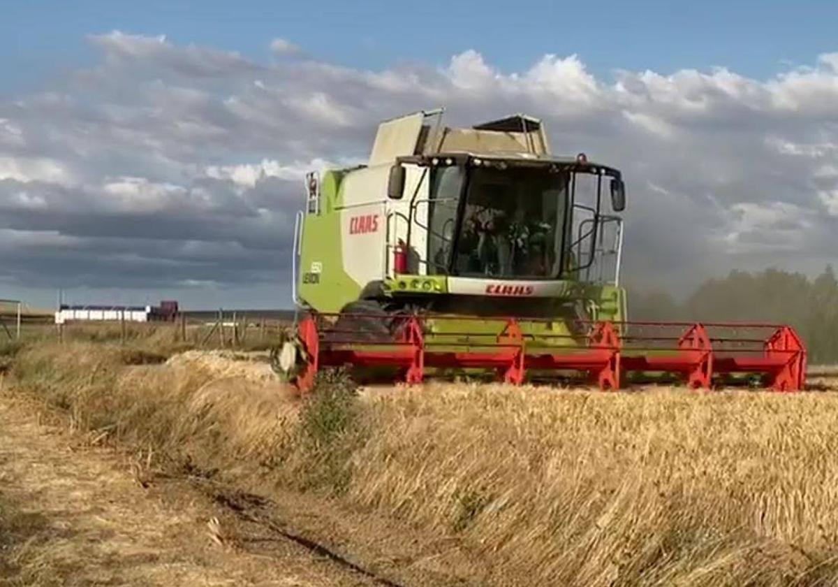 La Junta destina un millón de euros a formaciones en el sector agrario, forestal y agroalimentario