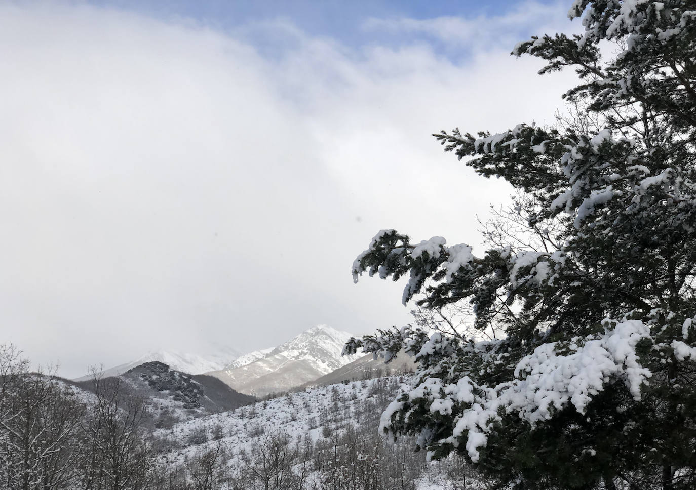 León ya vive entre la nieve