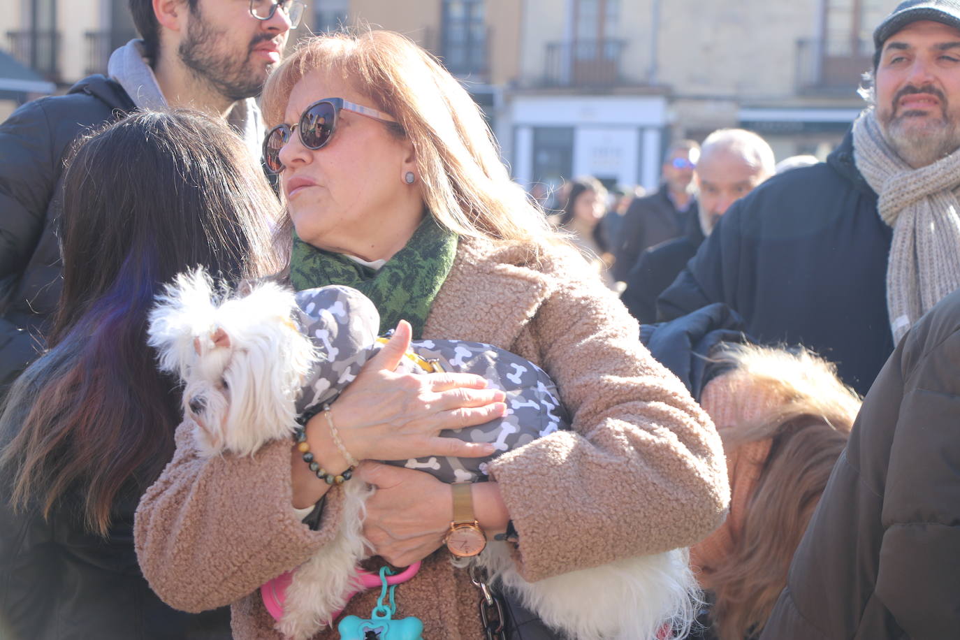 La bendición de San Antón