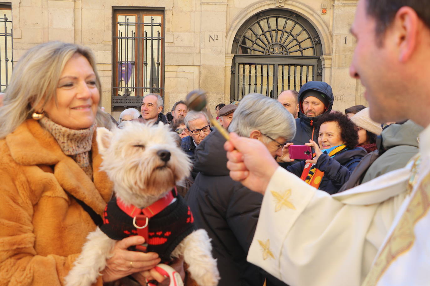 La bendición de San Antón