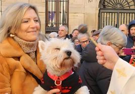 Un perro recibe la bendición de San Antón.