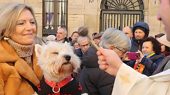 «Que Dios os bendiga y San Antón os proteja»