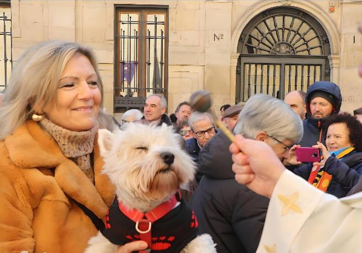 Un perro recibe la bendición de San Antón.