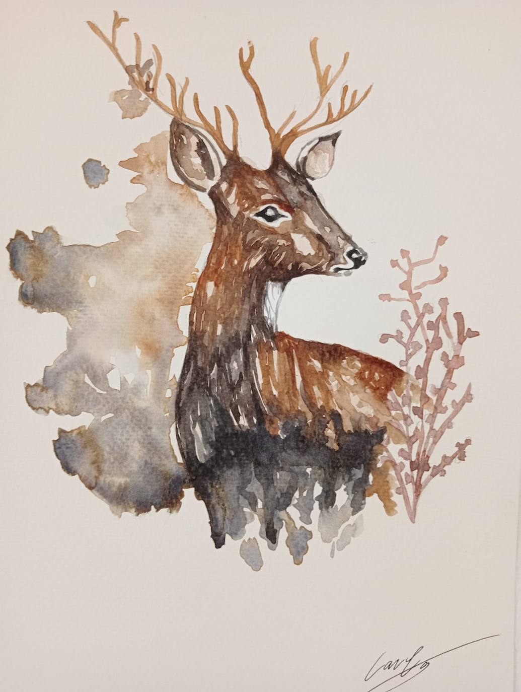 Exposición de Carla Rodríguez