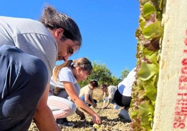 Participantes plantando lechugas, durante las prácticas de campo realizadas en el curso piloto Teatro Social Ecológico celebrado en España