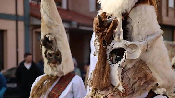 Guirrios y toros conquistarán las calles en Cimanes, Velilla y Alcoba
