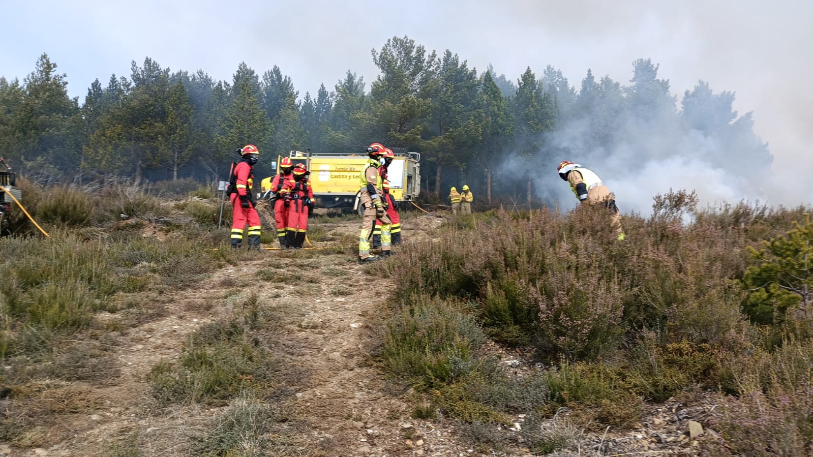 Jornadas de fuego técnico