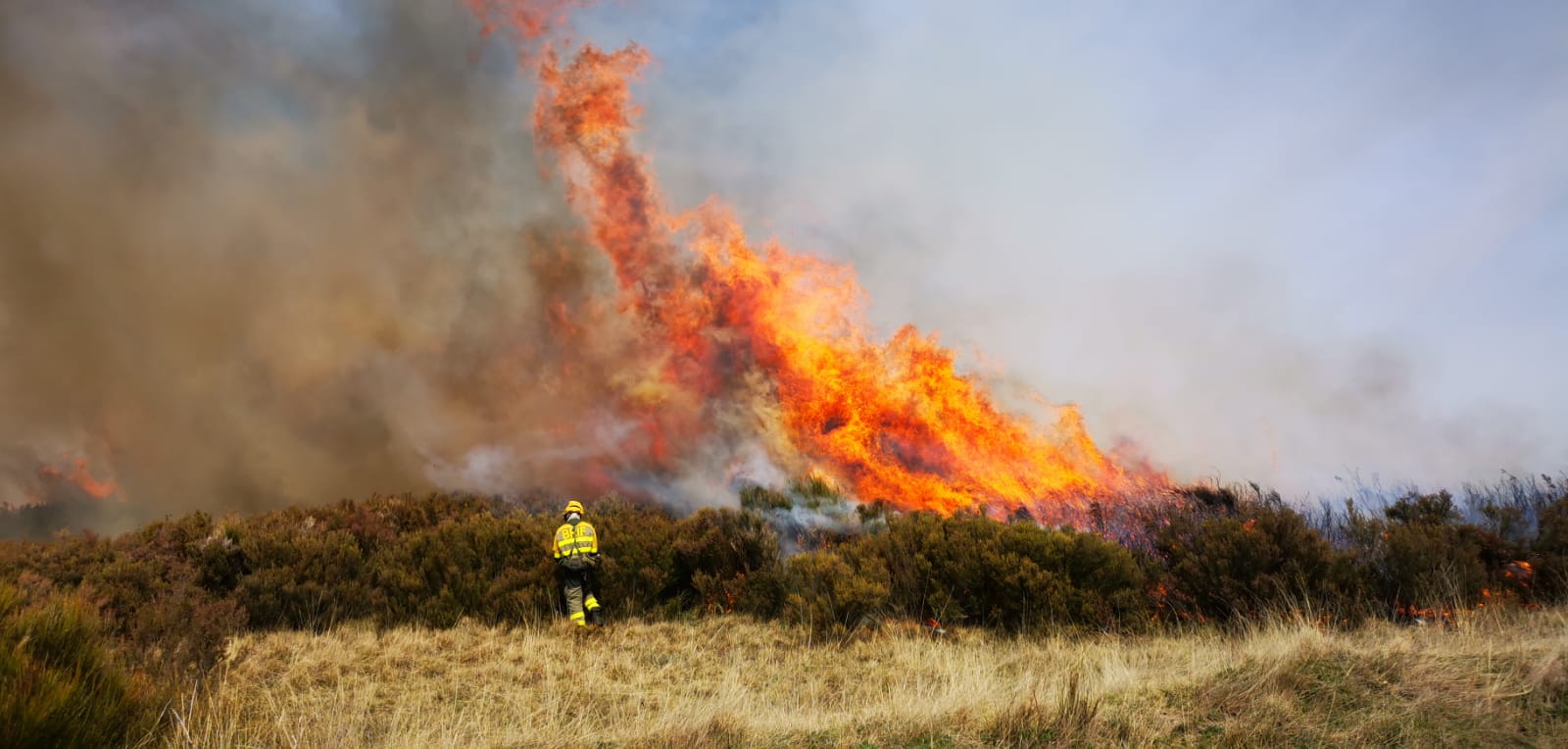 Jornadas de fuego técnico