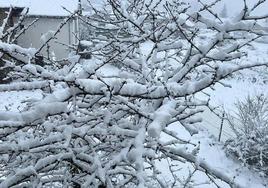 Nieve en Caboalles de Abajo este pasado viernes.