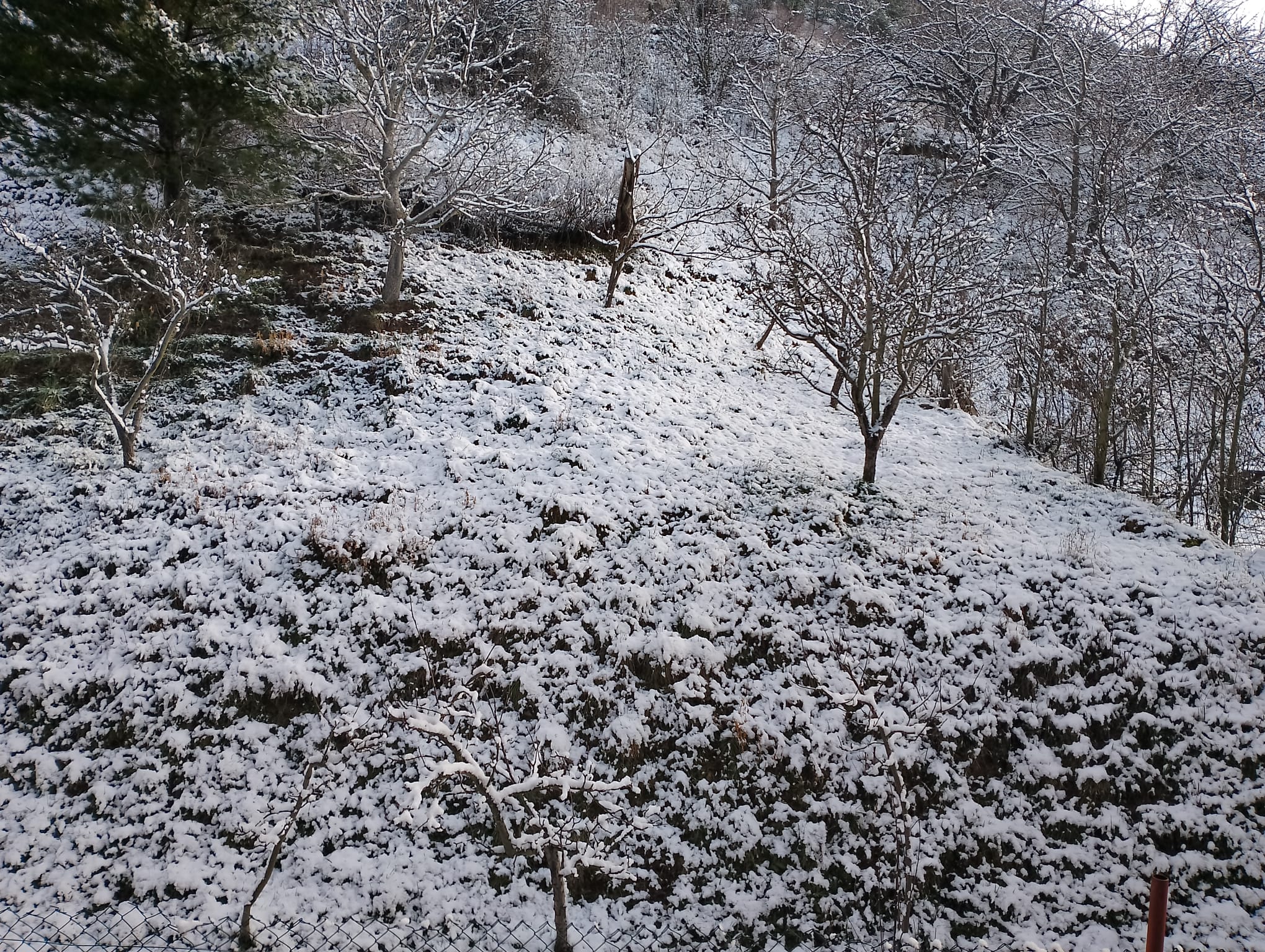 Nieve en Ciñera de Gordón